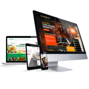 Website Design and Development E-Comm. Silver